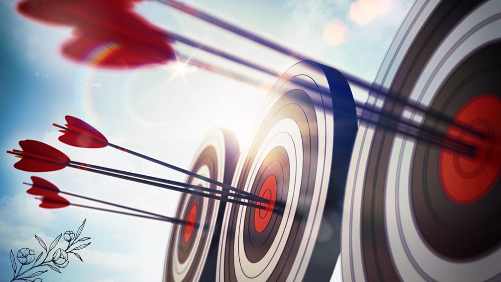 Arrows shot into targets