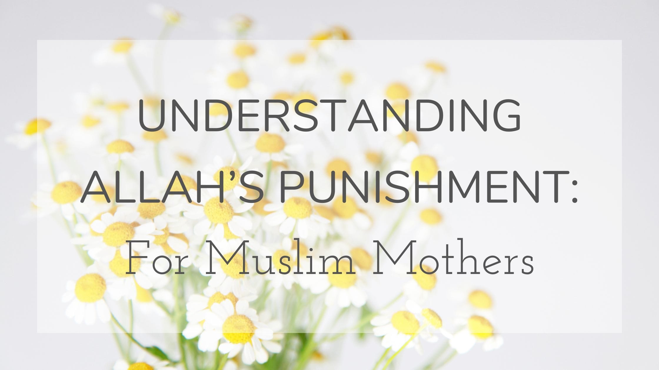 Understanding Allah's punishment - title amongst yellow flowers