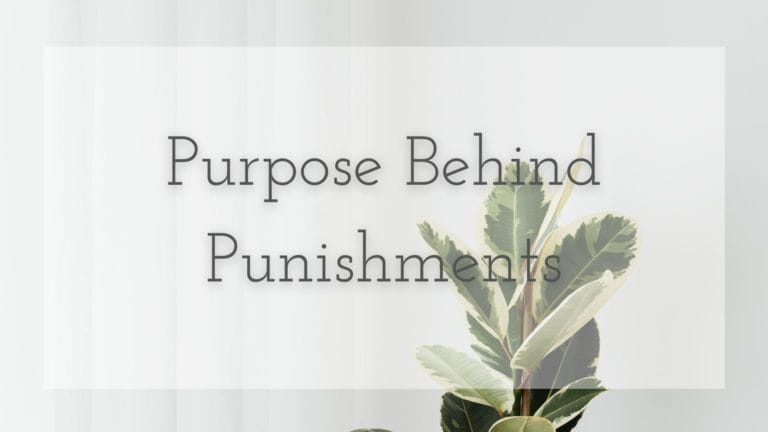 plant in background with words on top saying 'purpose behind punishments'