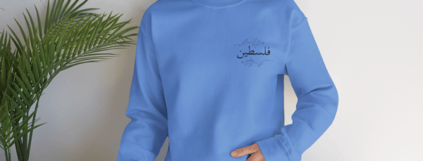 Palestine crewneck Carolina blue worn by a woman