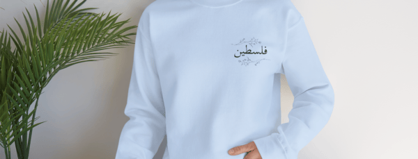 Palestine crewneck light blue worn by a woman